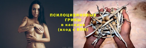 тгк Алексеевка